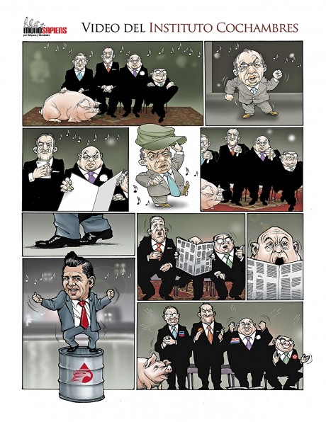 VIDEO DEL INSTITUTO COCHAMBRES
