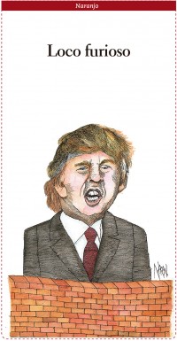 Loco furioso
