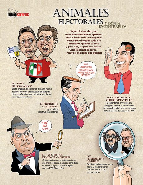 ANIMALES ELECTORALES