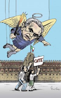 Cachiporra flamigera