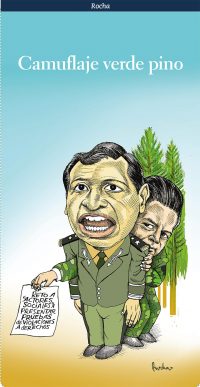 Camuflaje verde pino