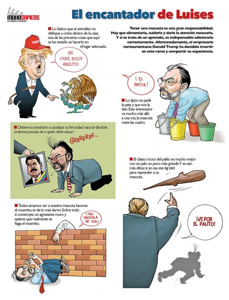 EL ENCANTADOR DE LUISES