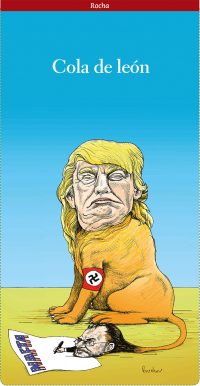 Cola de León