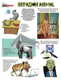 Invasión animal